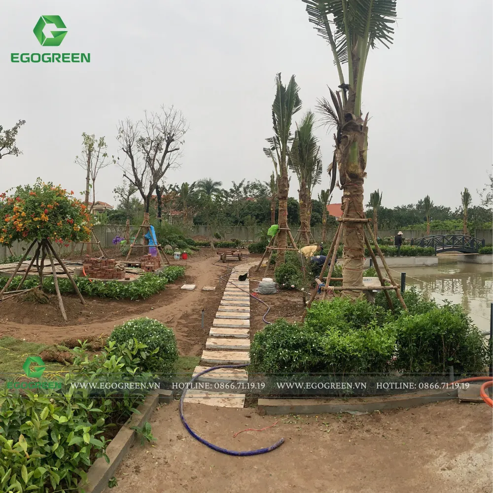 Một công trình sân vườn đang trong giai đoạn thi công và hoàn thiện.